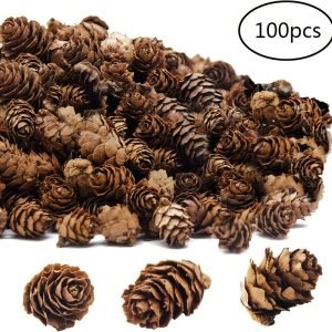 Goodsright Decor 100pcs Premium Christmas Mini Pine Cones - Festive DIY Crafts for Thanksgiving & Wedding Decor, Seasonal Home Accent, Premium Quality Fall & Christmas Ornaments