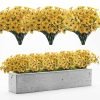 Goodsright Decor 24pcs, Yellow Plastic Artificial Spring Violets Outdoor Faux Greenery Silk-Printed Small Daisy Fake Flowers, Decorative Props For Hotel Indoor And Outdoor Corridors Doorway Window Displays