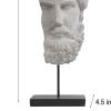 Goodsright Decor Greek Statue Sculptures Home Decor - Resin Bust Statue Zeus Statue on Metal Pole and Resin Base Greek God Statues for Living Room Shelf Office Table TV Stand Art Decor 8.25*4.5*16 Inch