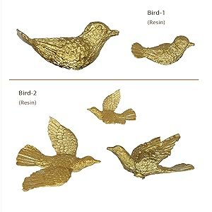 birds
